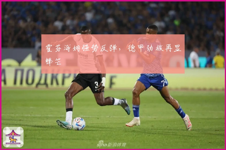 霍芬海姆强势反弹，德甲劲旅再显锋芒