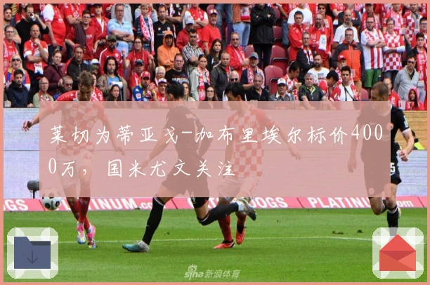 莱切为蒂亚戈-加布里埃尔标价4000万，国米尤文关注