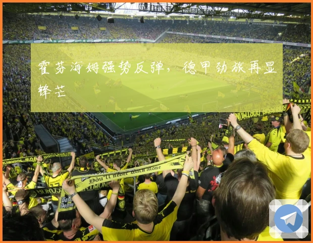 霍芬海姆强势反弹，德甲劲旅再显锋芒