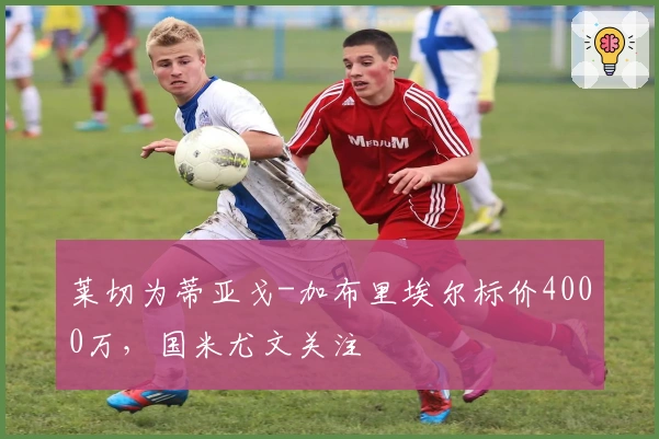 莱切为蒂亚戈-加布里埃尔标价4000万，国米尤文关注