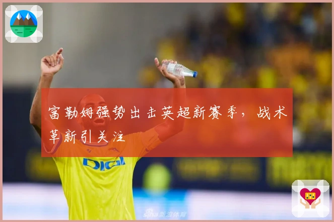 富勒姆强势出击英超新赛季，战术革新引关注